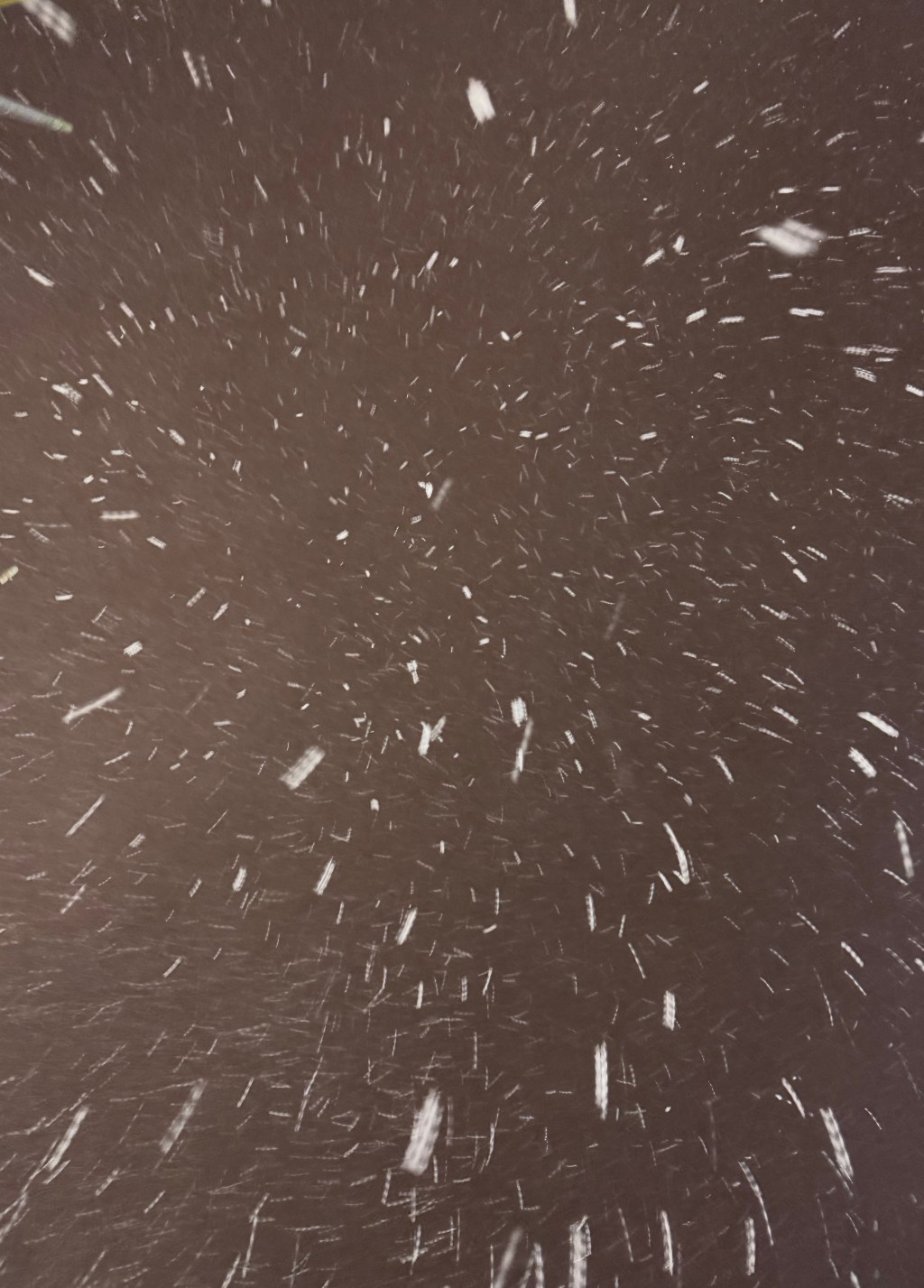 雪が降ってきた