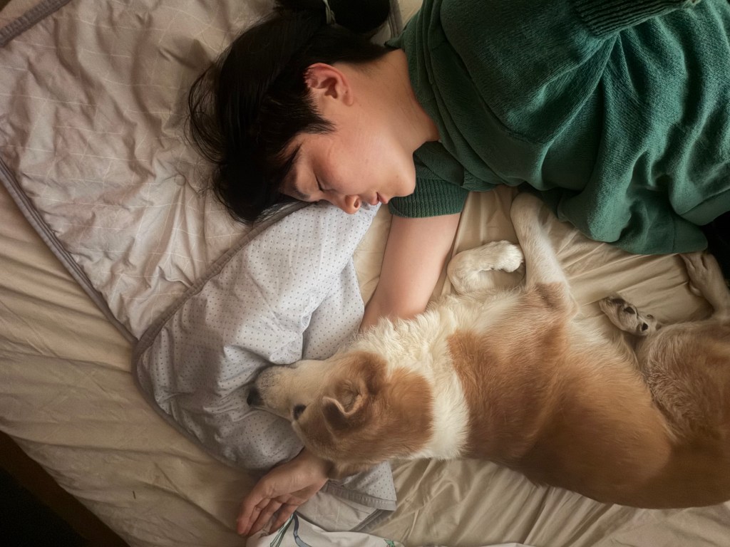 雨の日はこんこんと眠る